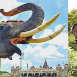 ಜಂಬೂಸವಾರಿಗೆ ಅಭಿಮನ್ಯು ವಾಪಸ್‌‍ ಅಭಿಮಾನಿಗಳ ಒತ್ತಾಸೆಗೆ ಮಣಿದ ಸರ್ಕಾರ